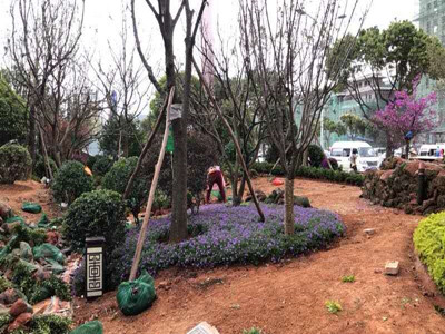 園林施工現(xiàn)場6