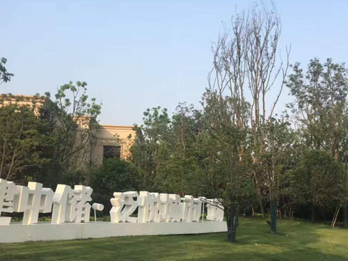 園林綠化工程施工，園林綠化養(yǎng)護(hù)，別墅庭院綠化