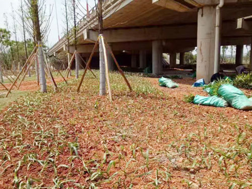 園林綠化工程施工，園林綠化養護，別墅庭院綠化