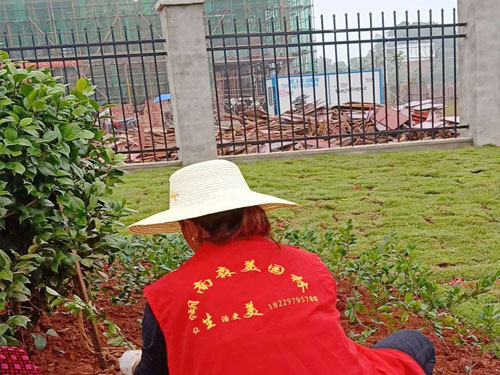 園林綠化工程施工,園林綠化養(yǎng)護,別墅庭院綠化,湖南株洲工業(yè)園區(qū)道路提質(zhì)改造