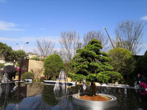 園林綠化工程施工，園林綠化養(yǎng)護，別墅庭院綠化