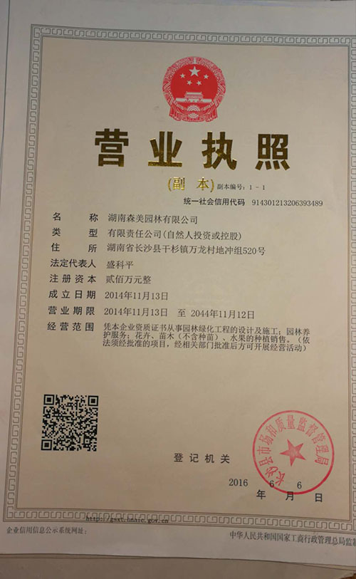 園林綠化工程施工，園林綠化養護，別墅庭院綠化